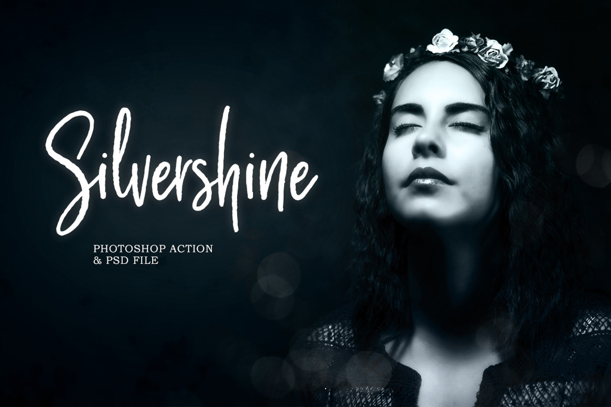 Silvershine Photoshop Action, an Action Add-On by VividFrame (Photo 1 of 10)