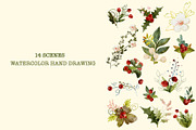 Christmas Botanical Watercolor, an Illustration by KlymchukArtworks (Thumbnail 8 of 8)