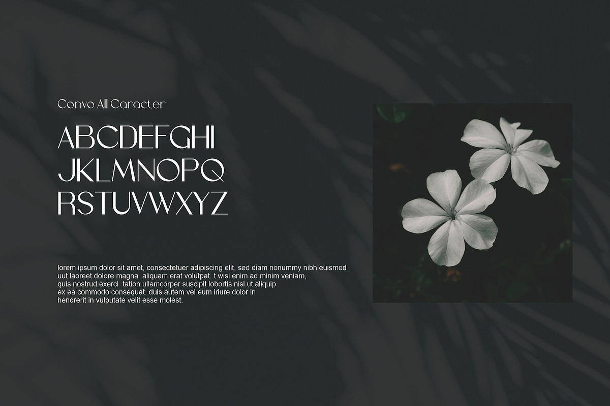 Convo, a Font by riotama85 (Photo 3 of 5)