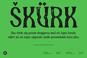 CS Berish Stamp, a Serif Font by Craft Supply Co. (Thumbnail 7 of 8)