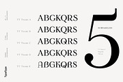 TT Tsars, a Serif Font by TypeType (Thumbnail 2 of 10)