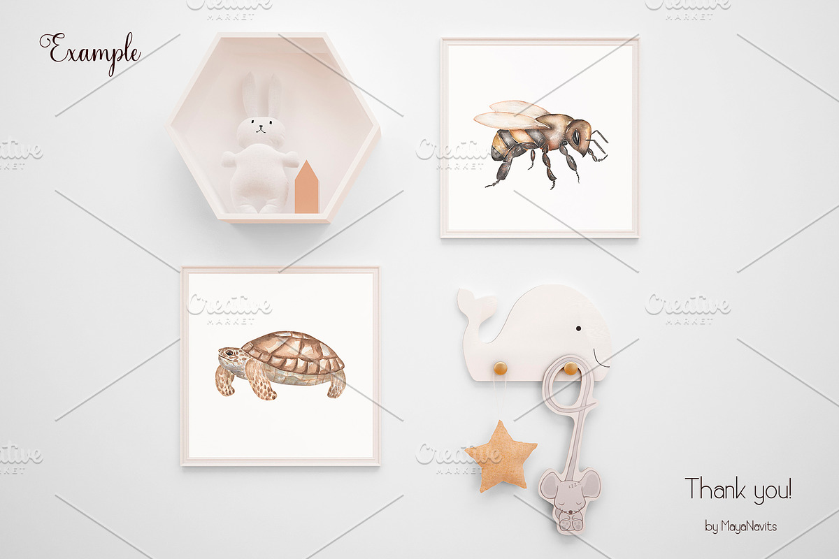 Watercolor Life Cycle Bundle, an Education Illustration by MayaNavits (Photo 21 of 22)