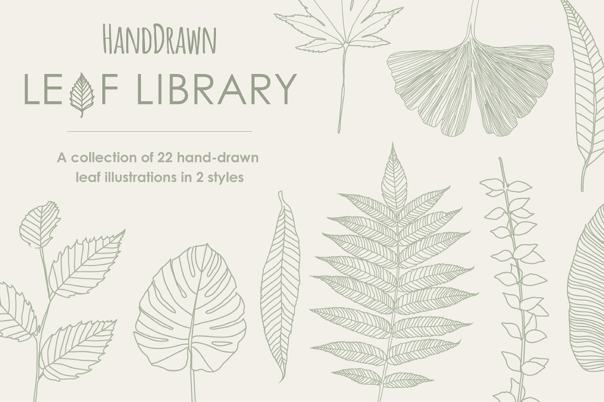 HandDrawn Leaf Library, an Illustration by Linseed Studio (Photo 1 of 9)