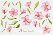 Blossoms. Spring watercolor set, a Decorative Illustration by NataliVA (Thumbnail 4 of 4)