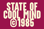 CS Midland – Condensed Font, a Sans Serif Font by Craft Supply Co. (Thumbnail 4 of 8)