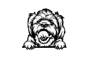 Yorkshire Terrier Dog - Peeking Dog, an Animal Illustration by Digital-Clipart