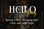 Pastone - Elegant Serif Font, a Serif Font by Creavibes Design (Thumbnail 13 of 18)