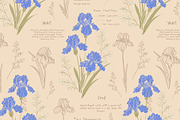 Vintage Blue Irises patterns, a Pattern Graphic by Carpet Tapete Pretzel (Thumbnail 3 of 16)