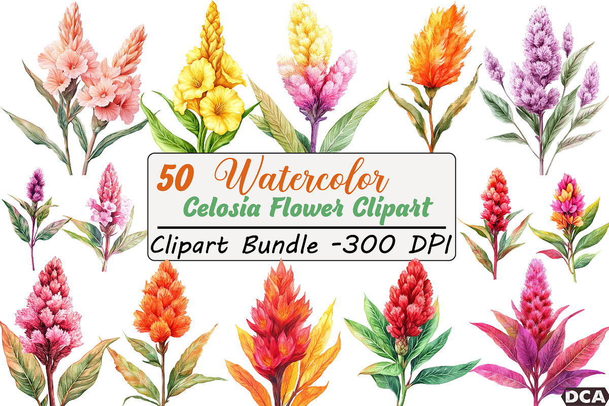Celosia Flower Clipart, an Illustration by DreamCafeArt (Photo 1 of 9)
