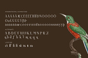 Brastoville - Modern Serif Font, a Serif Font by Rishsketch (Thumbnail 14 of 15)