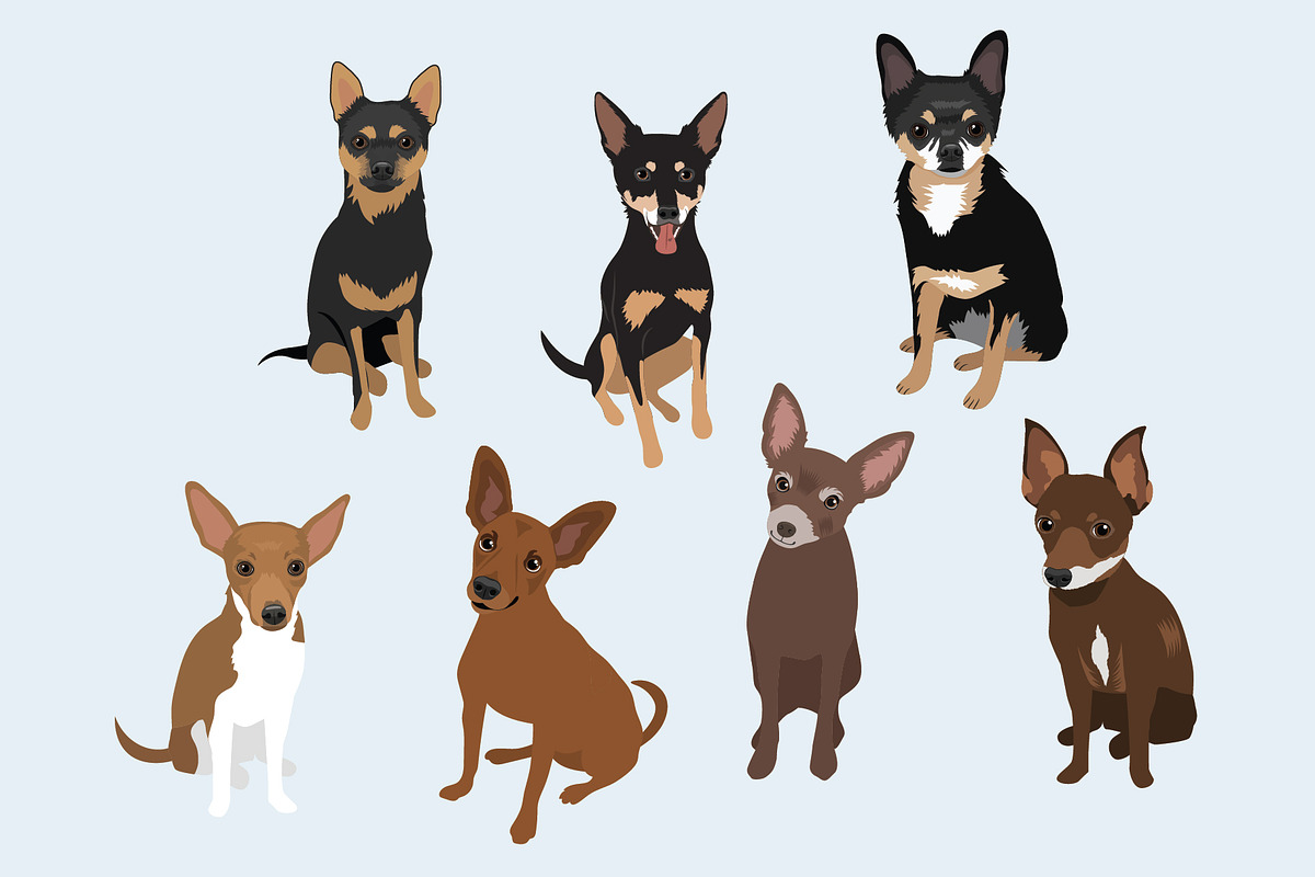 Chihuahua Vector Clip Art Bundle, an Illustration by Putnam Road Art (Photo 3 of 3)