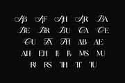 Marble Dreams Luxury Serif Font, a Serif Font by UICreative (Thumbnail 9 of 13)