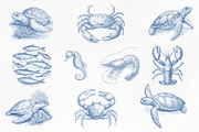 Vintage Marine Life Illustration Set, an Animal Illustration by NatalieArtShop (Thumbnail 8 of 20)