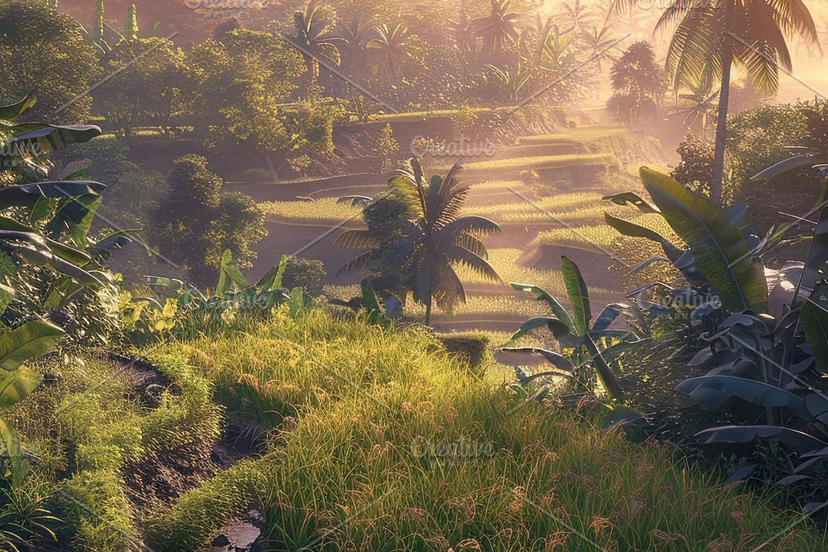 Golden Rice Field at Sunset, a Photo by LOGOCREATIVE (Photo 21 of 27)