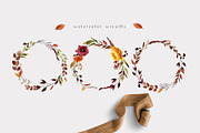 Hello autumn - watercolor collection, a Seasonal Illustration by Youksy (Thumbnail 13 of 17)