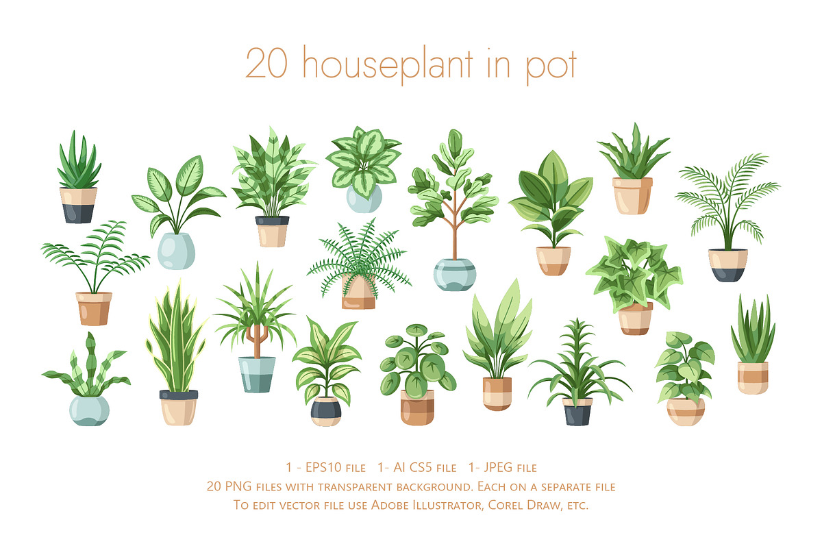 Beautiful House Plants In Pots, a Decorative Illustration by Art Design (Photo 6 of 7)