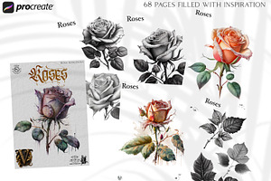 Procreate - Realistic Roses -