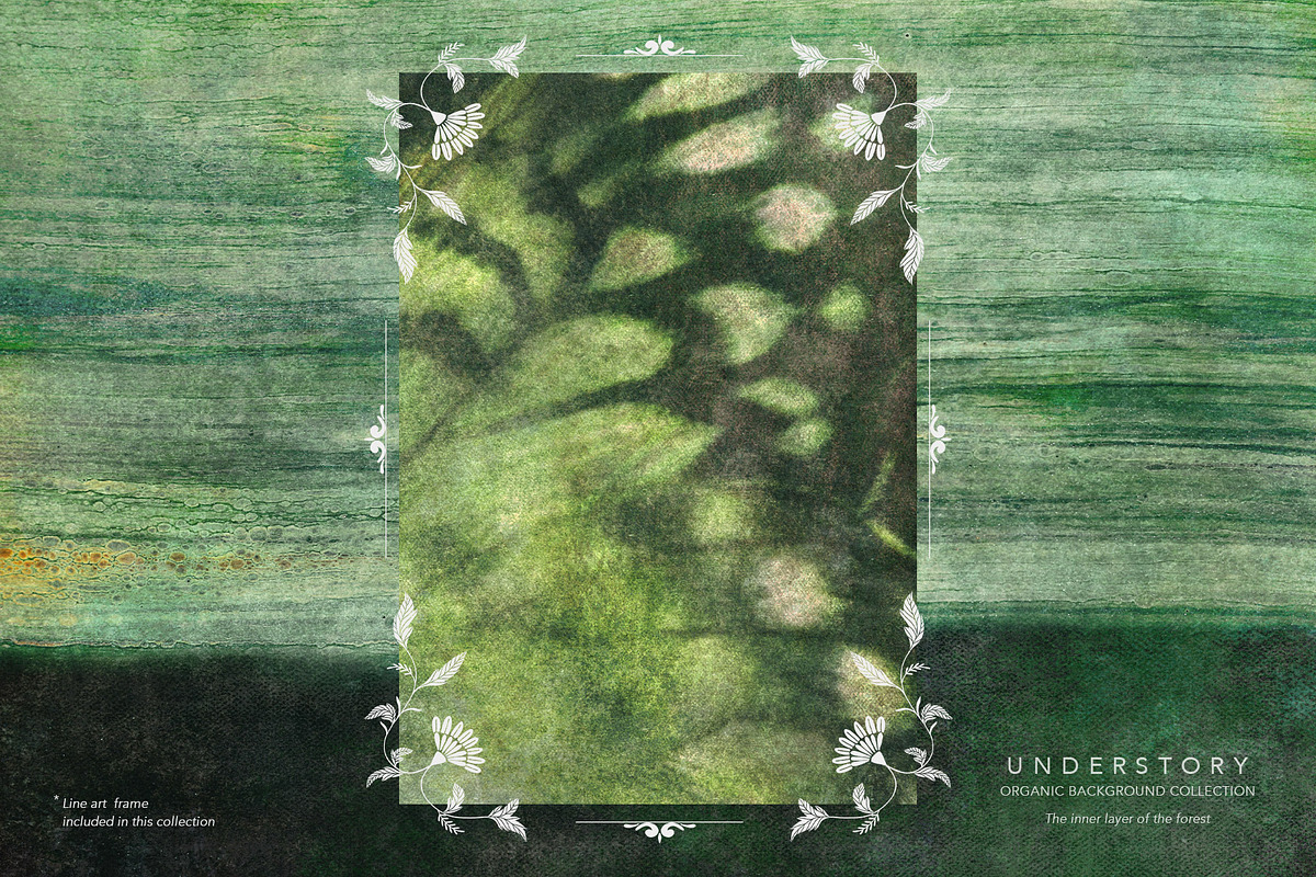 Understory Organic Backgrounds, a Background Graphic by alonahaidash (Photo 13 of 15)