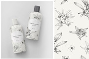 Flowers Neroli. Vector Botanical set, an Object Graphic by ON_lineart_store (Thumbnail 8 of 10)