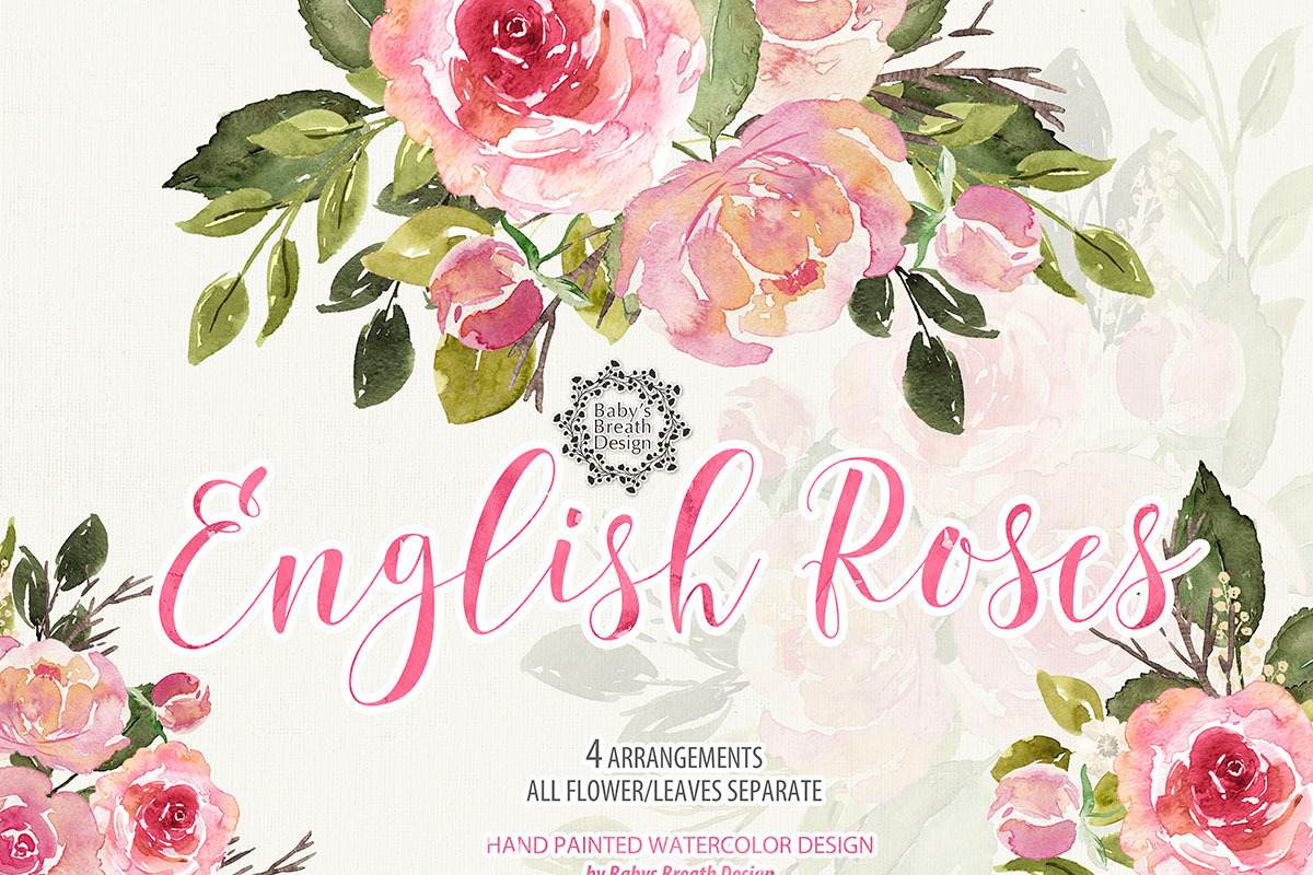 -50% English Roses design, an Illustration by Babysbreath/Dandelionery (Photo 2 of 3)