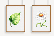 Watercolor Ladybug Clipart, an Illustration by Libby Wishes (Thumbnail 5 of 7)