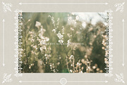 LACE DIARY 01 Vintage Rococo Romance, a Background Graphic by Euonia Meraki (Thumbnail 2 of 18)