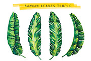 Banana Leaves Watercolor, a Decorative Illustration by Planolla (Thumbnail 2 of 4)