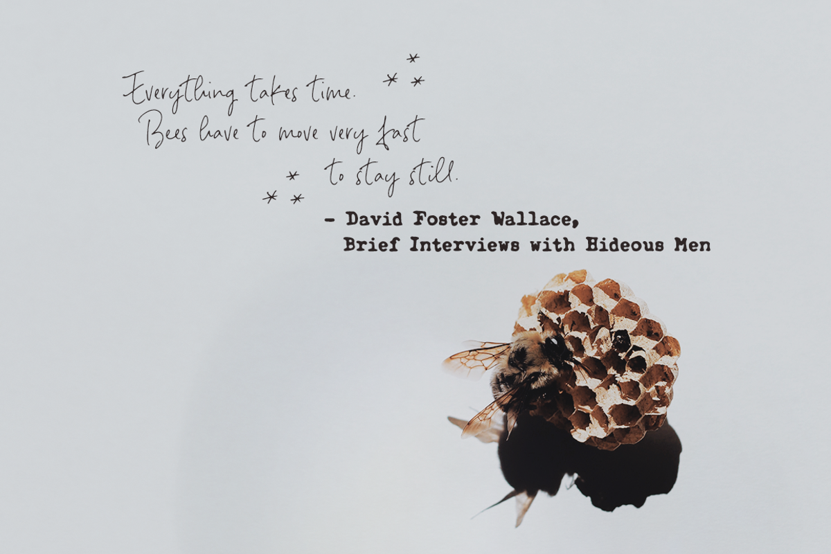 Notes And Quotes Font Duo, a Serif Font by Ana's Fonts (Photo 5 of 11)