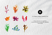 Ocean animals and fish clipart, a Pattern Graphic by ArtSpotVeronika (Thumbnail 5 of 15)