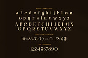 Rimak Elegant Display Serif Font, a Serif Font by Graphicxell (Thumbnail 7 of 8)