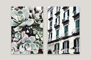 Lifestyle Bundles Collection 2, a Beauty & Fashion Photo by Floral Deco (Thumbnail 5 of 66)