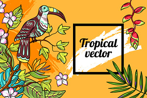 Tropical Design