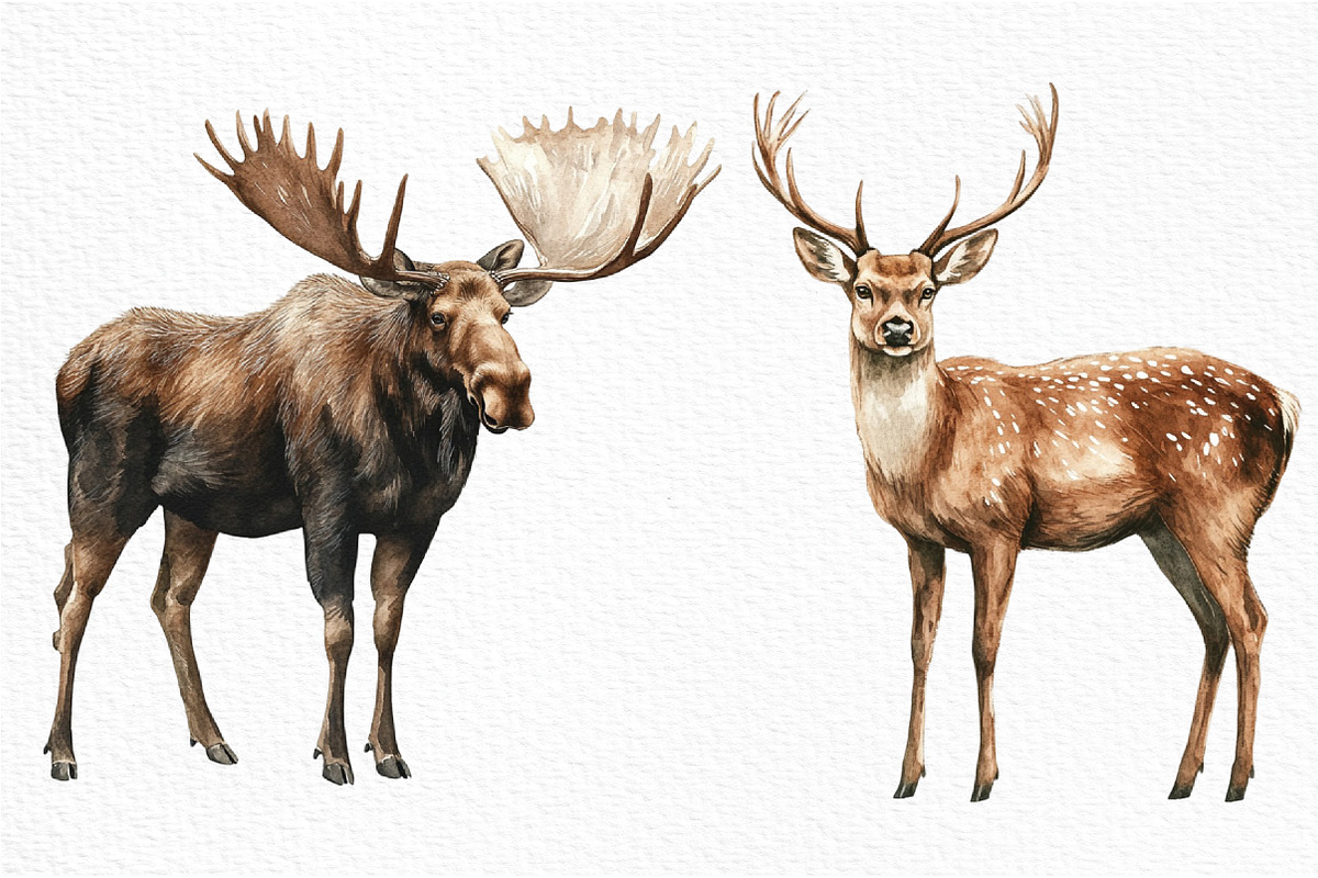 Watercolor Wildlife Nature Animals, an Illustration by Craft Nest (Photo 5 of 6)