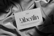 Silorin || Modern Serif Font, a Serif Font by Ermedia Studio (Thumbnail 10 of 10)