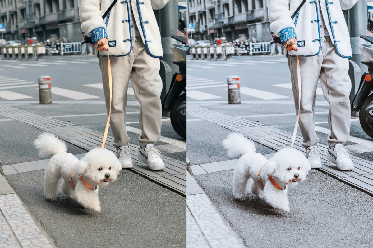 Luxury white lightroom preset pack, a Preset Add-On by Presets store (Photo 3 of 11)
