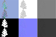 Selaginella V3, an Environmental 3D Model by AndrewWhite (Thumbnail 3 of 9)