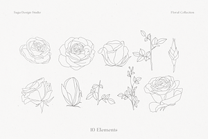 Vintage Floral Lineart Collection