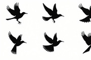 Flying Bird Silhouette Bundle, an Illustration by Designs_River (Thumbnail 4 of 10)