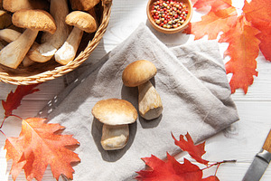Fresh porcini mushrooms ready for autumn harvest, a Food & Drink Photo by Olena Rudo