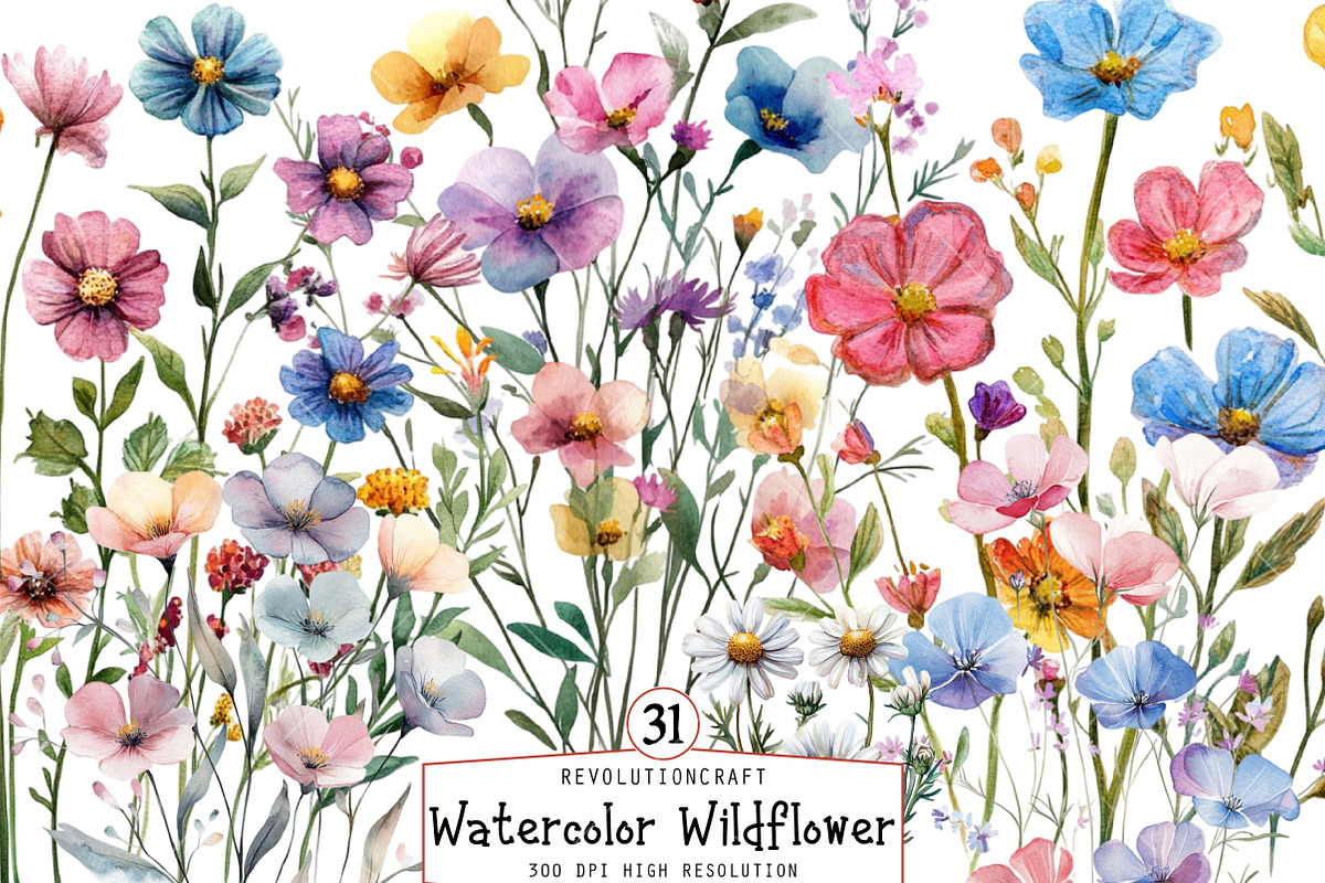 Watercolor Wildflower Clipart, an Illustration by OK Design (Photo 1 of 6)