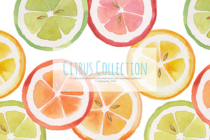 Citrus Collection