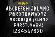 Evergreen - Display Font, a Script Font by Alpaprana (Thumbnail 7 of 10)