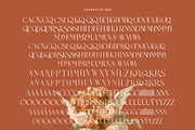 Sparkle Passion All Caps Display, a Serif Font by timelesstype.co (Thumbnail 19 of 20)