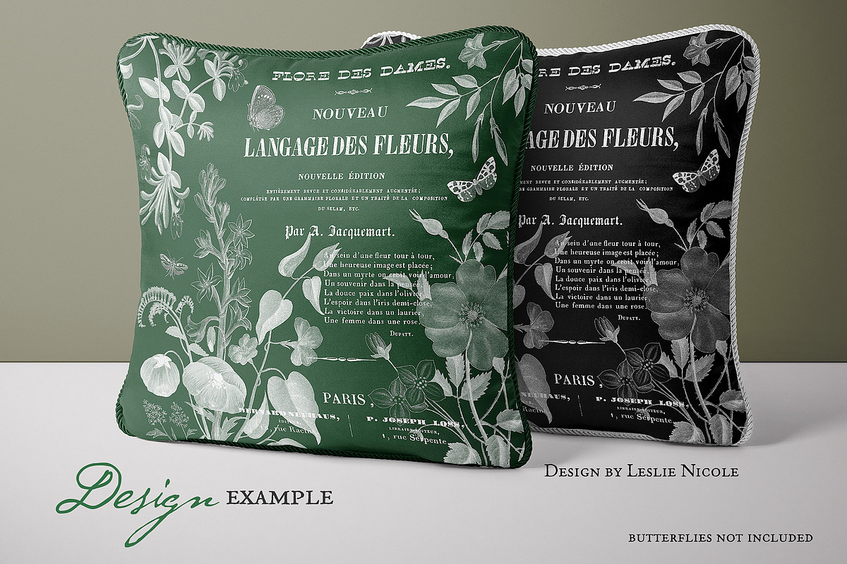 Flore des Dames Vintage French, an Illustration by French Kiss Collections (Photo 15 of 16)