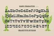Abron Clinton | Western Slab Serif, a Slab Serif Font by gracetype_studio (Thumbnail 11 of 12)