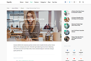 WordPress Minimal Blog Theme