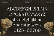 Agilera - Stylish Ligature Font, a Serif Font by Asenbayu (Thumbnail 5 of 15)