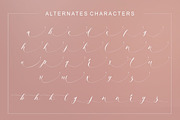 Ambition Bright, a Script Font by Artic Type (Thumbnail 9 of 9)