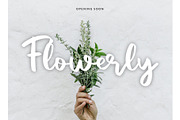 Vacation Modern Script Font, a Script Font by Giant Design (Thumbnail 6 of 10)