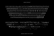 Regis | Elegant Serif Font Family, a Serif Font by Type and Co. (Thumbnail 15 of 20)